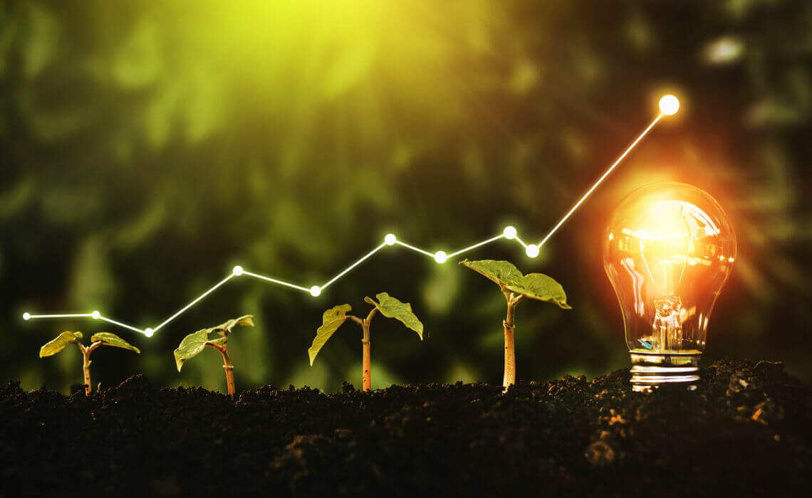 ベンチャー投資・育成