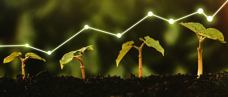 ベンチャー投資・育成